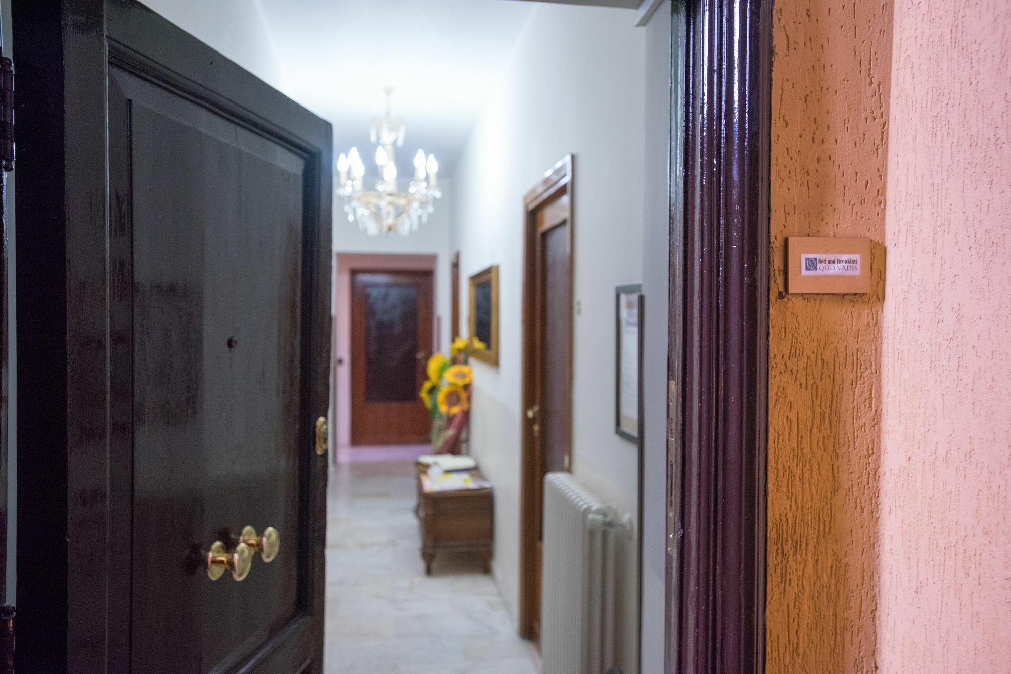 Quo Vadis Hotel Rome Exterior photo